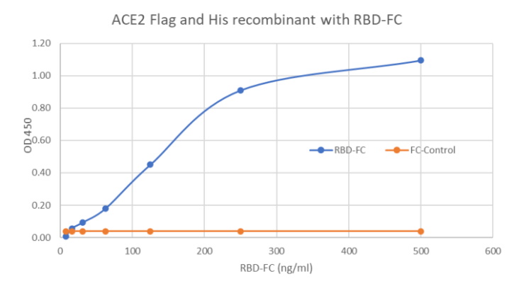 Figure 1 : Recombinant Human ACE2 His and FLAG Tag (21-1006) binds with high affinity to the Spike (RBD) protein of the virus SARS-CoV-2. Method: Recombinant Human ACE2 His and FLAG Tag (21-1006) is coated on an ELISA plate at 1 ug/ml overnight at 4°C. Recombinant SARS-Cov-2 Spike RBD Protein Fc Tag (319-541 aa) is added (starting at a concentration of 500 ng/ml with a two fold serial dilution) incubated one hour at RT. The interaction is then detected using an anti-human IgG (HRP).