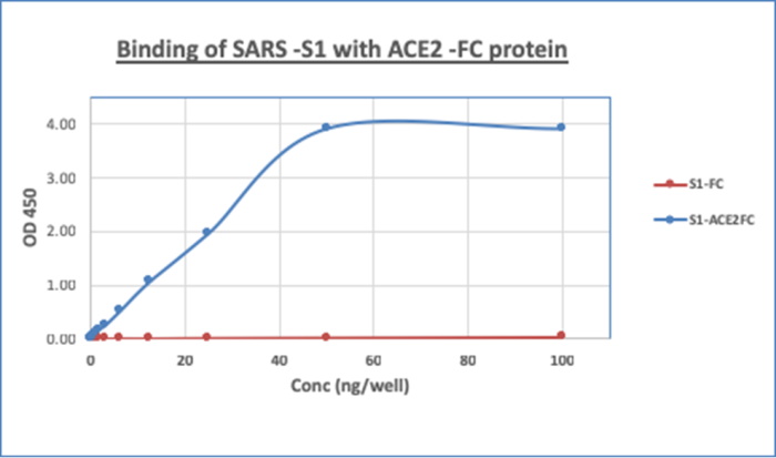 Figure 2: Binding assay of recombinant SARS CoV-2 Spike S1 C-Term His Tag Protein (Cat. No. 21-1008) with recombinant Human ACE2 Fc Protein (Cat No. 21-1007). An ELISA plate was coated with 1µg/ml of recombinant SARS CoV-2 Spike S1 C-Term His Tag Protein, and the plate was incubated overnight at 4oC. Different concentrations (100 ng/well to 0 ng/well) of recombinant Human ACE2 Fc Protein was added to the wells. HRP conjugated goat anti-human Fc was used as secondary antibody.