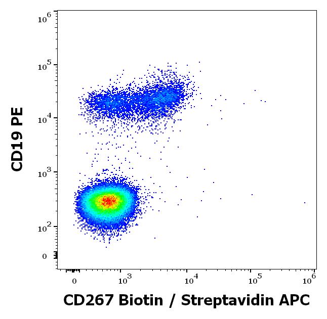 Anti-CD267 / TACI -Biotin Conjugated Monoclonal Antibody (Clone:1A1) Anti-CD267 / TACI -Biotin Conjugated Monoclonal Antibody (Clone:1A1)
