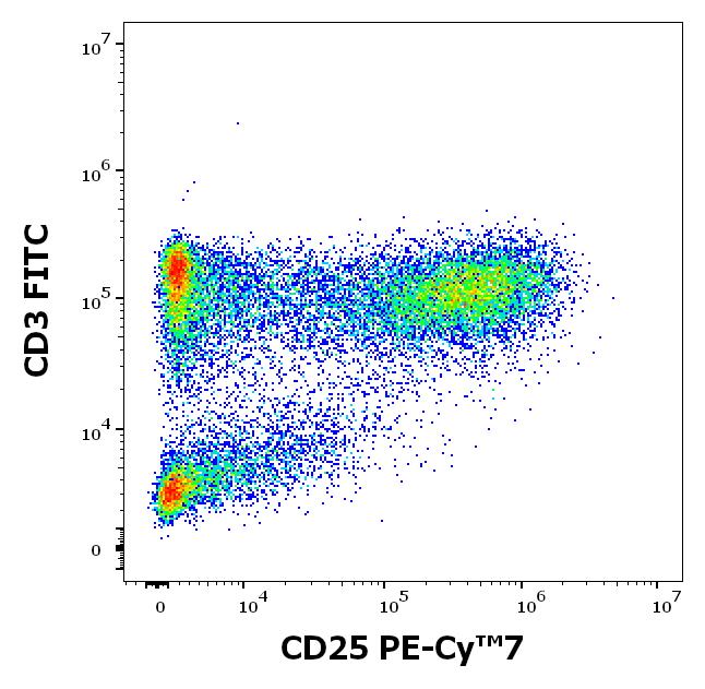 Anti-CD25 / IL-2R alpha chain Monoclonal Antibody (Clone:MEM-181) PE-Cy™7 Conjugated Anti-CD25 / IL-2R alpha chain Monoclonal Antibody (Clone:MEM-181) PE-Cy™7 Conjugated