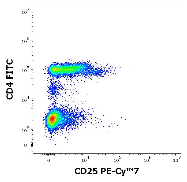 Anti-CD25 / IL-2R alpha chain Monoclonal Antibody (Clone:MEM-181) PE-Cy™7 Conjugated Anti-CD25 / IL-2R alpha chain Monoclonal Antibody (Clone:MEM-181) PE-Cy™7 Conjugated