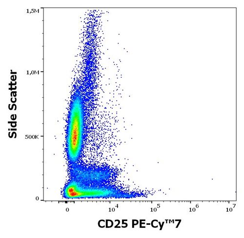 Anti-CD25 / IL-2R alpha chain Monoclonal Antibody (Clone:MEM-181) PE-Cy™7 Conjugated Anti-CD25 / IL-2R alpha chain Monoclonal Antibody (Clone:MEM-181) PE-Cy™7 Conjugated