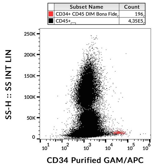 Anti-CD34 / Mucosialin Monoclonal Antibody (Clone:4H11[APG])