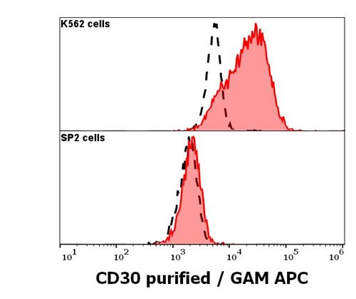 Anti-CD30 / Ki-1 Monoclonal Antibody (Clone:MEM-268) Anti-CD30 / Ki-1 Monoclonal Antibody (Clone:MEM-268)