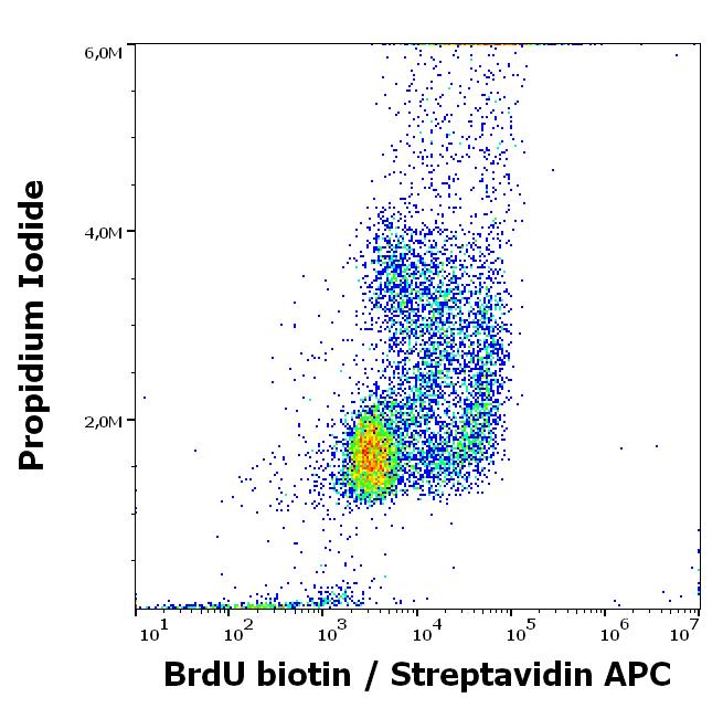 Anti-5-bromodeoxyuridine (BrdU)-Biotin Conjugated Monoclonal Antibody (Clone:Bu20a) Anti-5-bromodeoxyuridine (BrdU)-Biotin Conjugated Monoclonal Antibody (Clone:Bu20a)