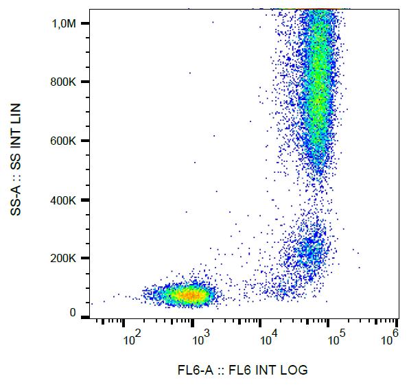 Anti-CD13 / Aminopeptidase N Monoclonal Antibody (Clone:WM15)-Low Endotoxin