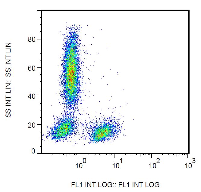 Low endotoxin, Anti-CD28 Monoclonal Antibody (Clone:CD28.2)