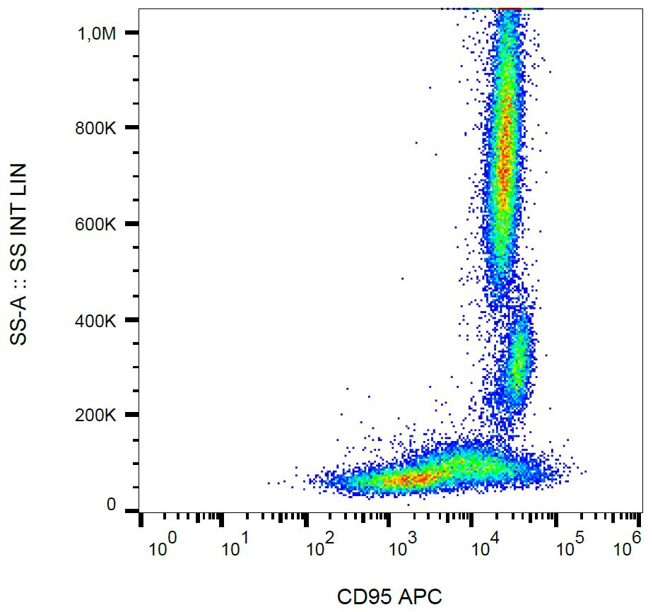 Anti-CD95 / Fas Monoclonal Antibody (Clone:LT95)-APC Conjugated
