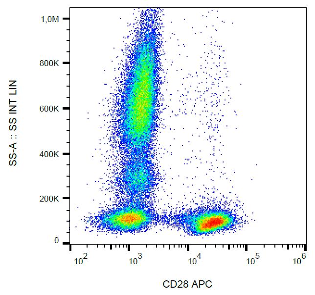APC conjugated, Anti-CD28 Monoclonal Antibody (Clone:CD28.2)-APC Conjugated