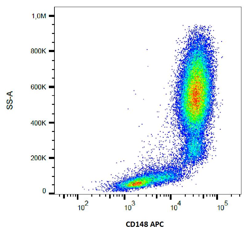 Anti-CD148 Monoclonal Antibody (Clone:MEM-CD148/05)-APC Conjugated