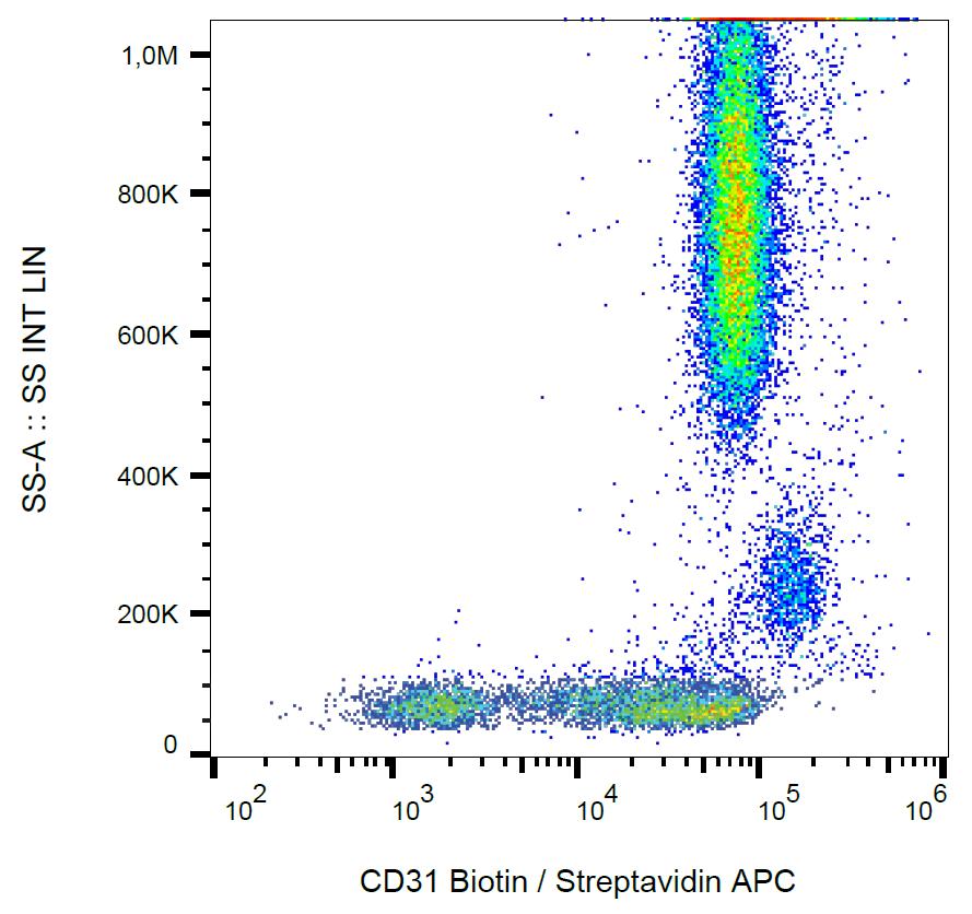 Biotin Conjugated, Anti-CD31 / PECAM-1 Monoclonal Antibody (Clone:MEM-05)