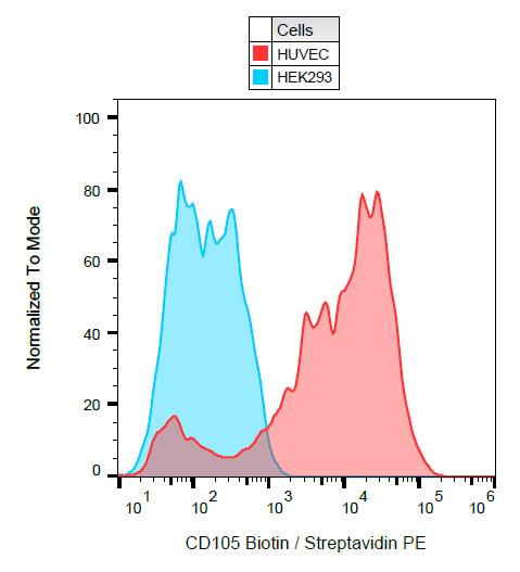 Biotin Conjugated, Anti-CD105 / Endoglin Monoclonal Antibody (Clone:MEM-229)
