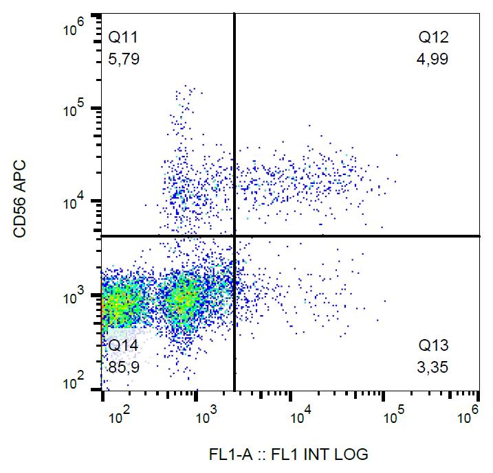 Anti-CD57 Monoclonal Antibody (Clone:TB01)-FITC Conjugated