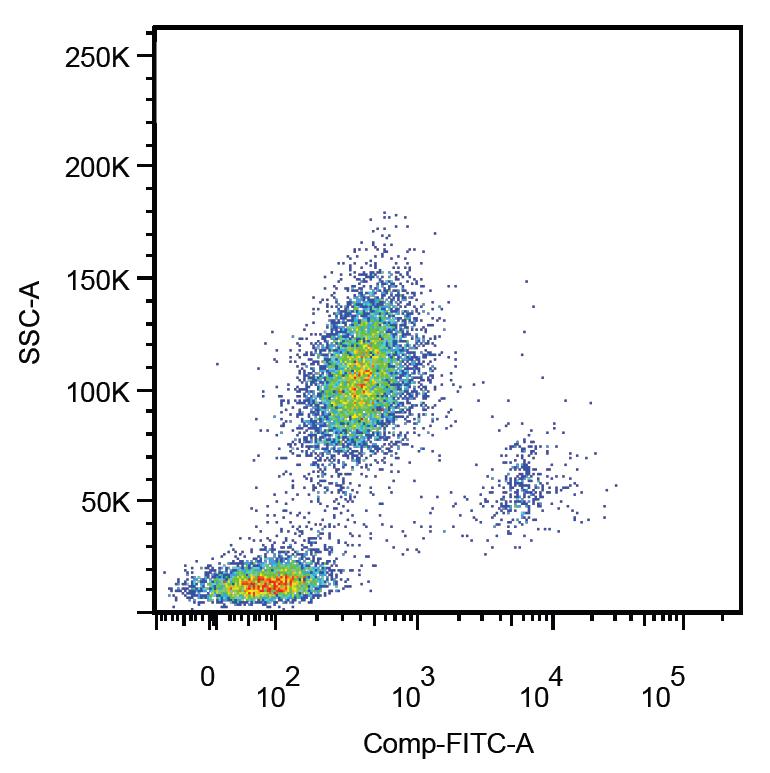 Anti-CD14 / LPS-receptor Monoclonal Antibody (Clone:MEM-18)-FITC Conjugated
