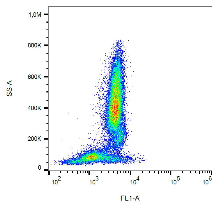 Anti-CD95 / Fas Monoclonal Antibody (Clone:LT95)-FITC Conjugated