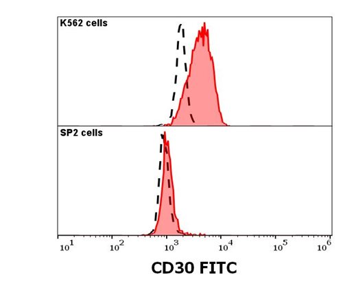 Anti-CD30 / Ki-1 Monoclonal Antibody (Clone:MEM-268)-FITC Conjugated Anti-CD30 / Ki-1 Monoclonal Antibody (Clone:MEM-268)-FITC Conjugated