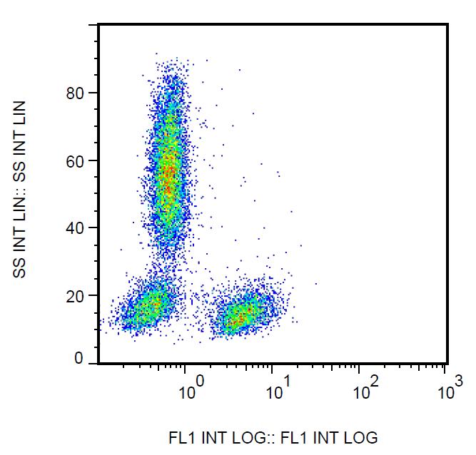 FITC conjugated, Anti-CD28 Monoclonal Antibody (Clone:CD28.2)-FITC Conjugated