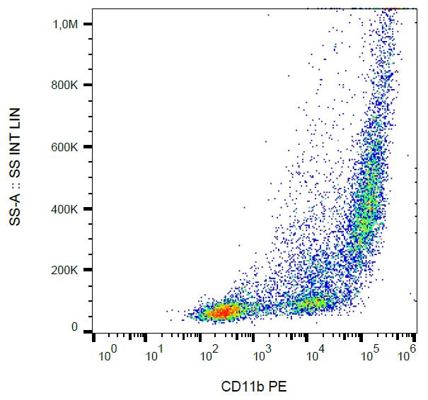 Anti-CD11b activation epitope Monoclonal Antibody (Clone:CBRM1/5)-PE Conjugated