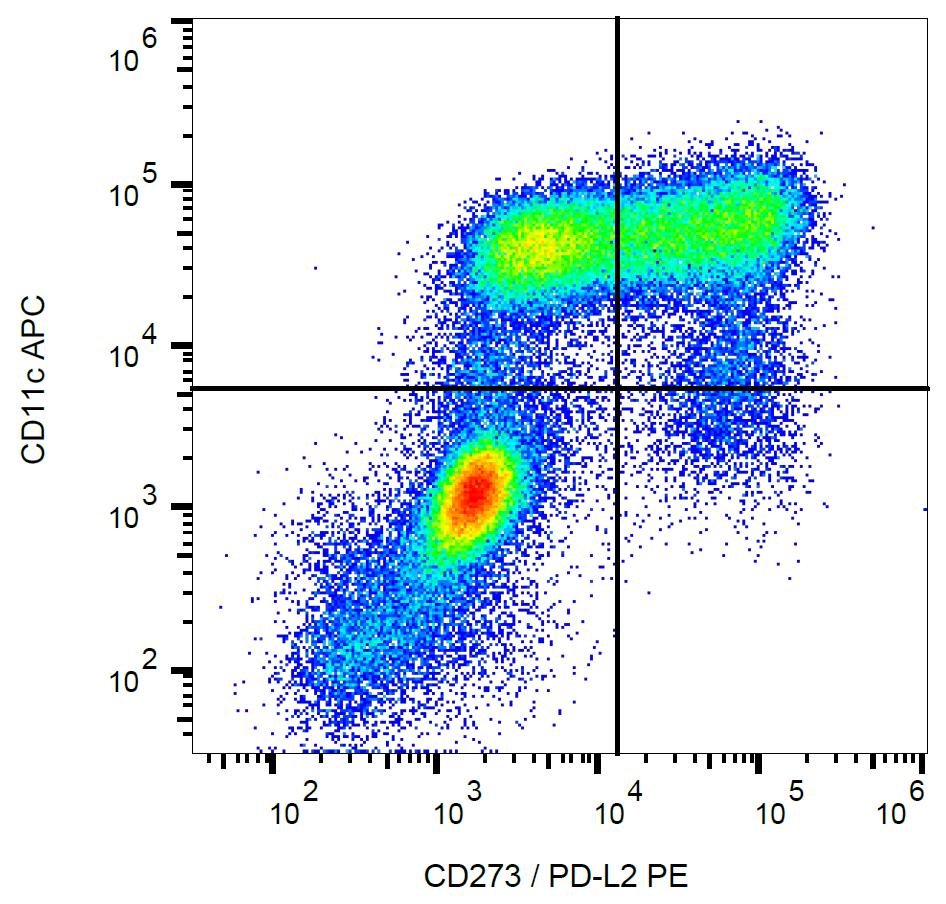 Anti-CD273 / PD-L2 Monoclonal Antibody (Clone:24F.10C12)-PE Conjugated