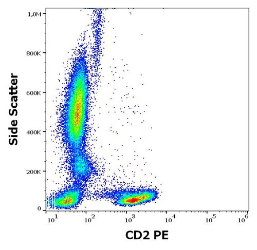 Anti-CD2 / LFA-2 Monoclonal Antibody (Clone:MEM-65)-PE Conjugated Anti-CD2 / LFA-2 Monoclonal Antibody (Clone:MEM-65)-PE Conjugated