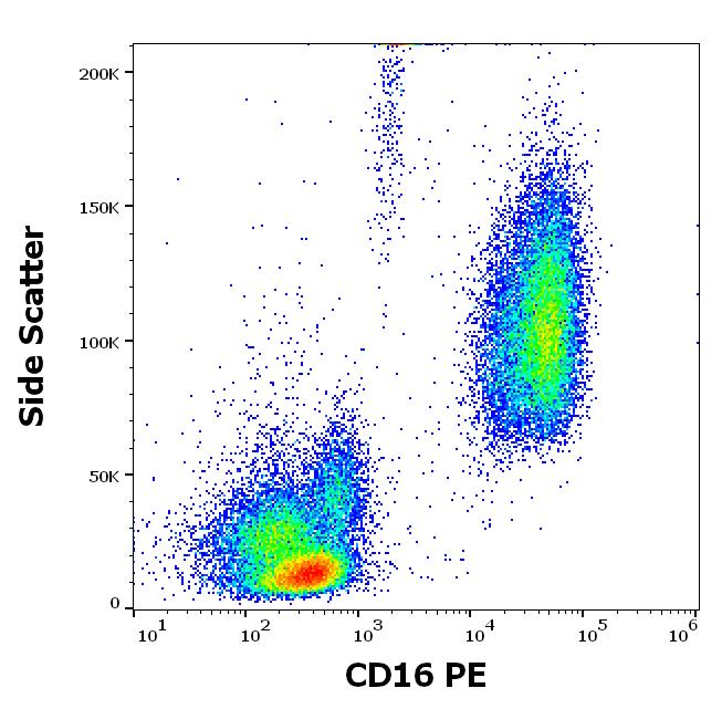Anti-CD16 / FcgammaRIII Monoclonal Antibody (Clone:MEM-154)-PE Conjugated Anti-CD16 / FcgammaRIII Monoclonal Antibody (Clone:MEM-154)-PE Conjugated