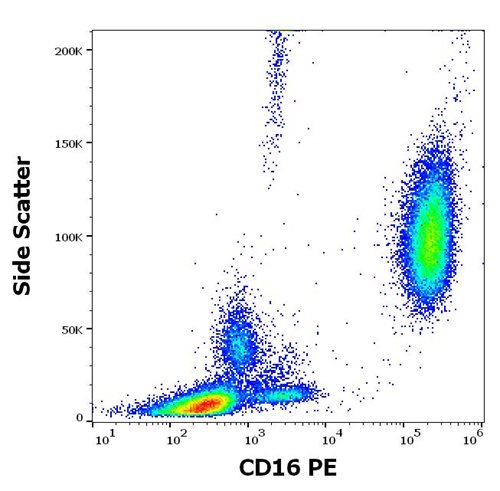 Anti-CD16 / FcgammaRIII Monoclonal Antibody (Clone:MEM-154)-PE Conjugated Anti-CD16 / FcgammaRIII Monoclonal Antibody (Clone:MEM-154)-PE Conjugated