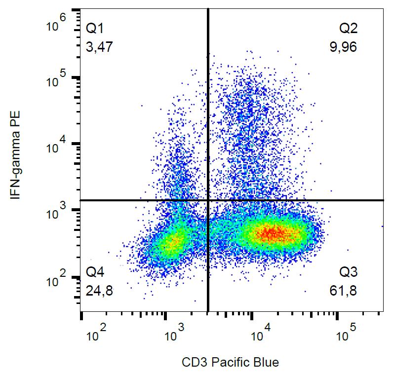 PE Conjugated Anti-IFN-gamma Monoclonal Antibody (Clone:4S.B3)