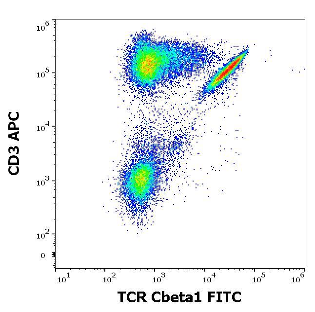 Anti-Human TCR Cbeta1 FITC (Clone : JOVI.1)