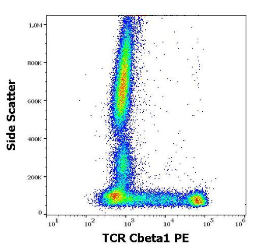 Anti-Human TCR Cbeta1 PE (Clone : JOVI.1)