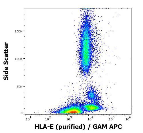 Figure 1 : Flow cytometry surface staining pattern of human peripheral blood stained using anti-human HLA-E (3D12) purified antibody (concentration in sample 4 µg/ml) GAM APC.
