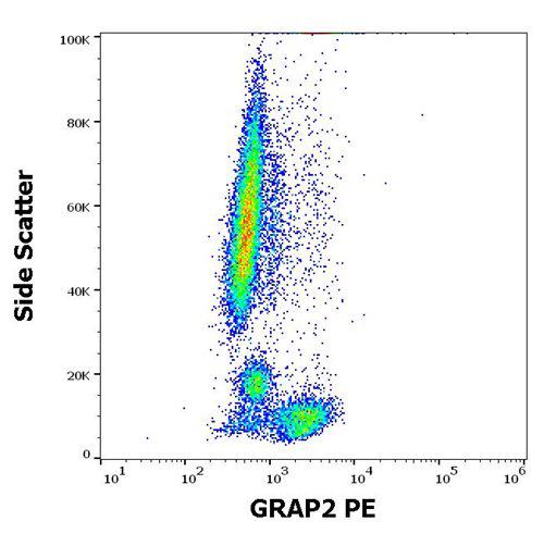 Figure 1 : Flow cytometry intracellular staining pattern of human peripheral whole blood stained using anti-human GRAP2(UW40) PE antibody (concentration in sample 1,7 µg/ml).