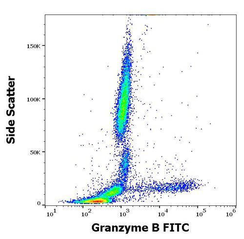 Anti-Granzyme B FITC (Clone : CLB-GB11)