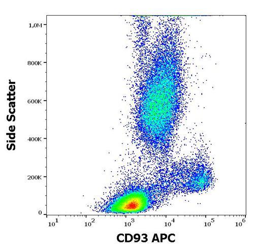 Anti-Human CD93 APC (Clone : VIMD2)