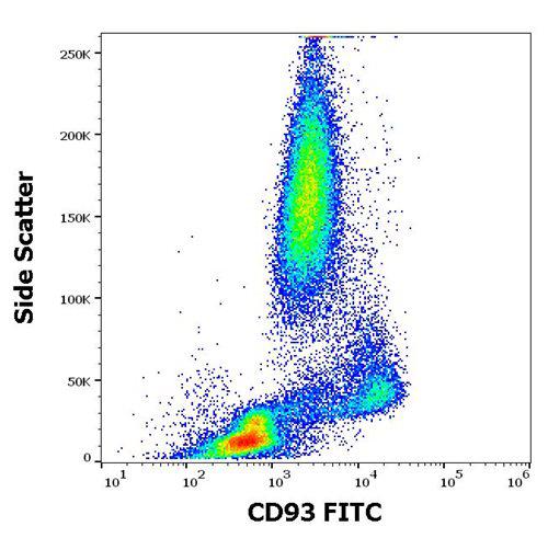 Anti-Human CD93 FITC (Clone : VIMD2)