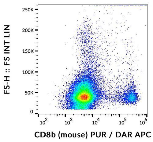 Anti-Mouse CD8b Antibody (Clone : H35-17.2)