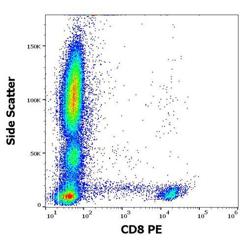 Anti-Human CD8 PE (Clone : LT8)