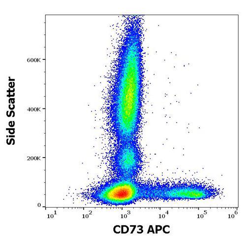 Figure 1 : Flow cytometry surface staining pattern of human peripheral whole blood stained using anti-human CD73 (AD2) APC antibody (10 µl reagent / 100 µl of peripheral whole blood).