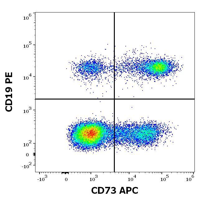 Anti-Human CD73 APC (Clone : AD2)