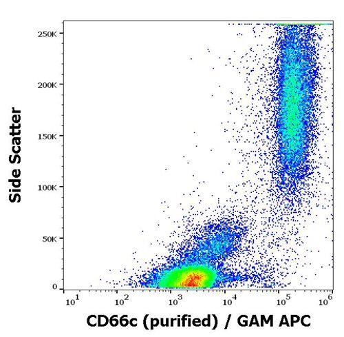 Anti-Human CD66c Antibody (Clone : B6.2)