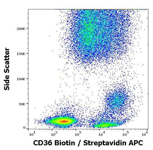 Anti-Human CD36 Biotin (Clone : TR9)