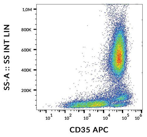 Anti-Human CD35 APC (Clone : E11)
