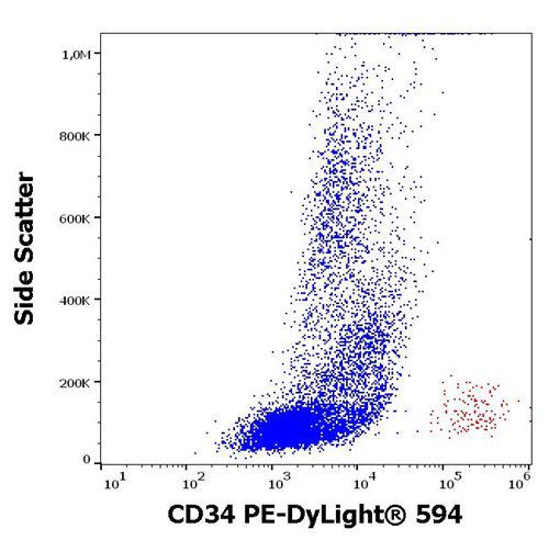Anti-Human CD34 PE-DyLight® 594 (Clone : 4H11[APG])