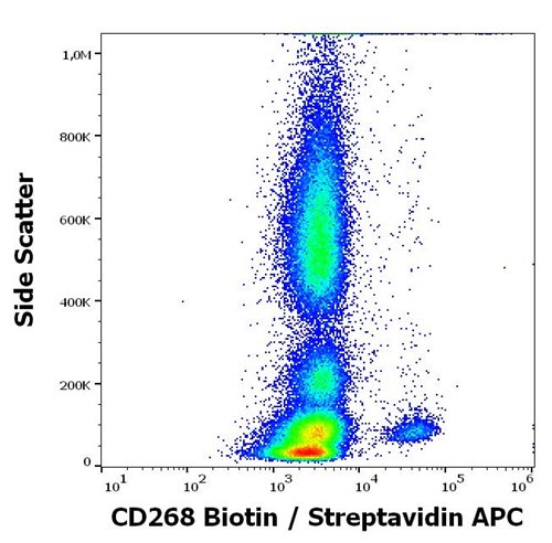 Anti-Human CD268 Biotin Conjugated Antibody (Clone : 11C1) Anti-Human CD268 Biotin Conjugated Antibody (Clone : 11C1)