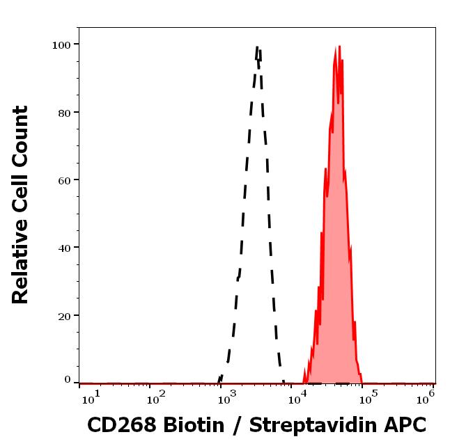 Anti-Human CD268 Biotin Conjugated Antibody (Clone : 11C1) Anti-Human CD268 Biotin Conjugated Antibody (Clone : 11C1)