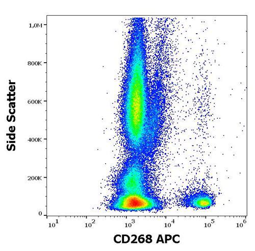Anti-Human CD268 APC (Clone : 11C1)