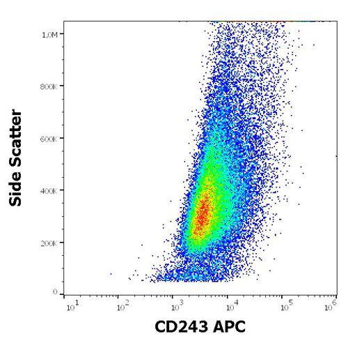 Anti-Human CD243 APC (Clone : UIC2)