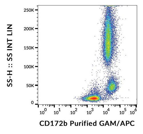 Anti-Human CD172b Antibody (Clone : B4B6)