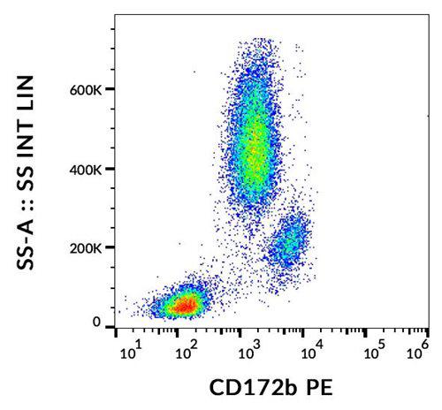 Anti-Human CD172b PE (Clone : B4B6)