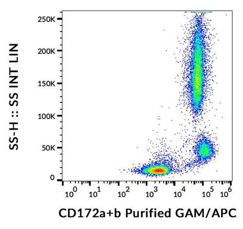 Anti-Human CD172ab Antibody (Clone : SE5A5)