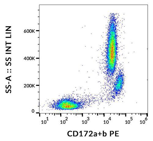 Anti-Human CD172ab PE (Clone : SE5A5)